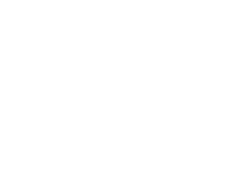 Salem Witches'Institut