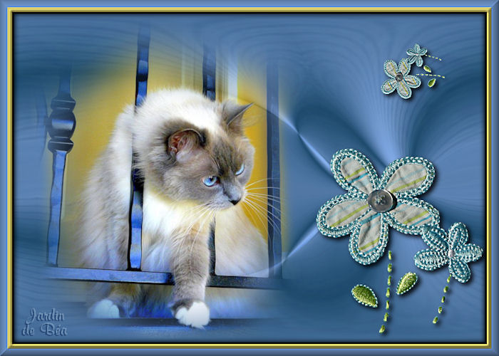 chat-bleu-b-a-326ea86.jpg