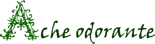 Ache odorante Ache_odorante-31c1889